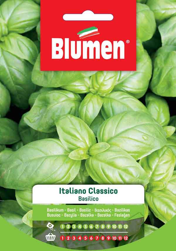 BLUMEN SEMENTI BASILICO ITALIANO CLASSICO