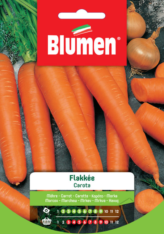 BLUMEN SEMENTI CAROTA FLAKKEE