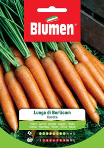 BLUMEN SEMENTI CAROTA LUNGA DI BERLICUM