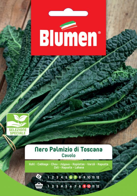 BLUMEN SEMENTI CAVOLO NERO PALMIZIO DI TOSCANA