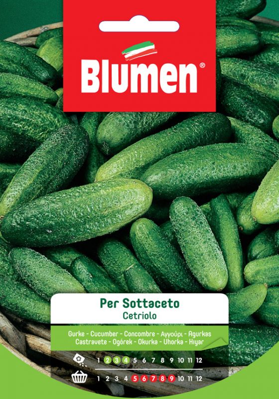 BLUMEN SEMENTI CETRIOLO PER SOTTACETO