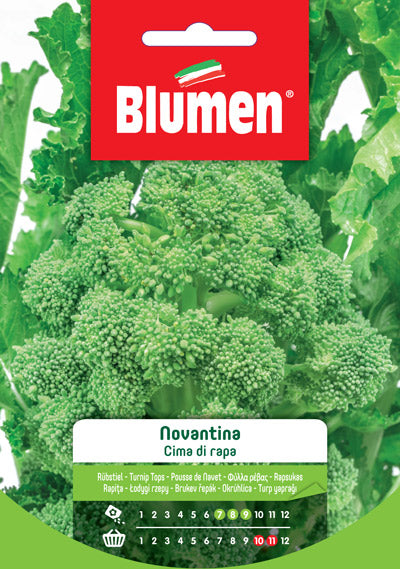 BLUMEN SEMENTI CIMA DI RAPA NOVANTINA