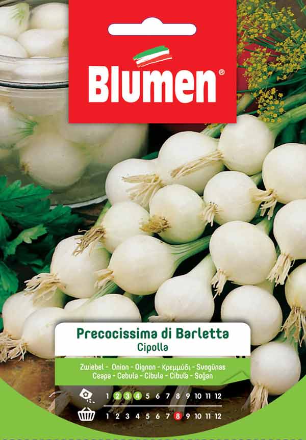 BLUMEN SEMENTI CIPOLLA PRECOCISSIMA DI BARLETTA