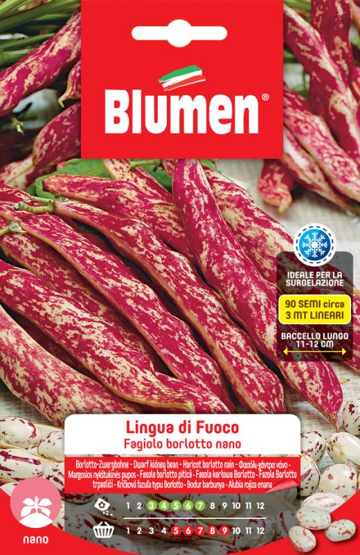 BLUMEN SEMENTI FAGIOLI BORLOTTI NANI LINGUA DI FUOCO