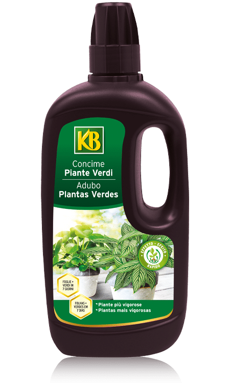 KB CONCIME LIQUIDO PIANTE VERDI, 1L