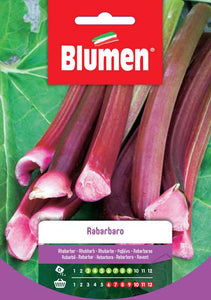 BLUMEN SEMENTI RABARBARO