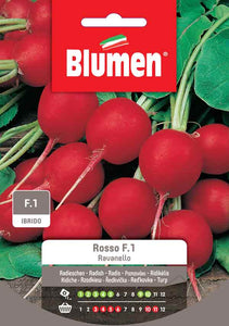 BLUMEN SEMENTI RAVANELLO ROSSO F.1 IBRIDO