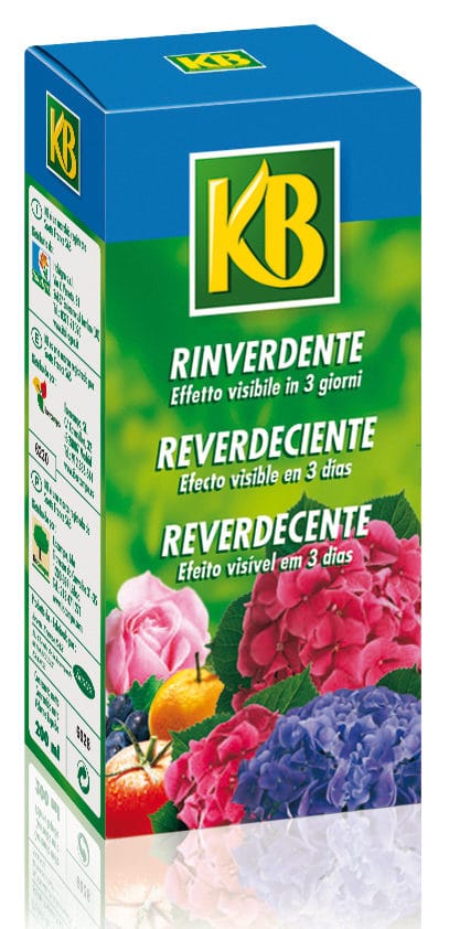 KB RINVERDENTE, 200 ML