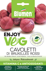 BLUMEN SEMENTI CAVOLETTI DI BRUXELLES ROSSI