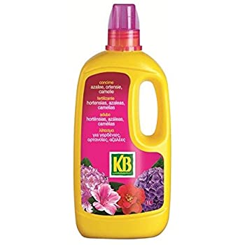 KB CONCIME AZALEE, ORTENSIE E CAMELIE 1L