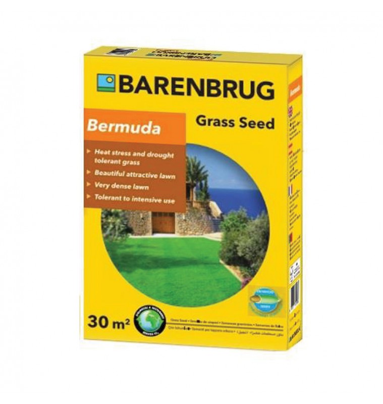 BARENBRUG SEMENTI PRATO BERMUDA 500G